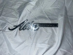 Used 1974-1977 Pontiac Astre Script Fender Side Emblem, Metal OEM Part #738996 - Picture 1 of 4