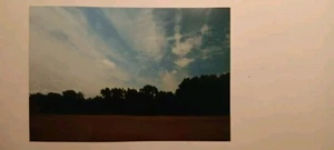 Dessau Anhalt Partie am Kühnauer See Foto in AK-Größe alt Kodak  - Bild 1 von 2