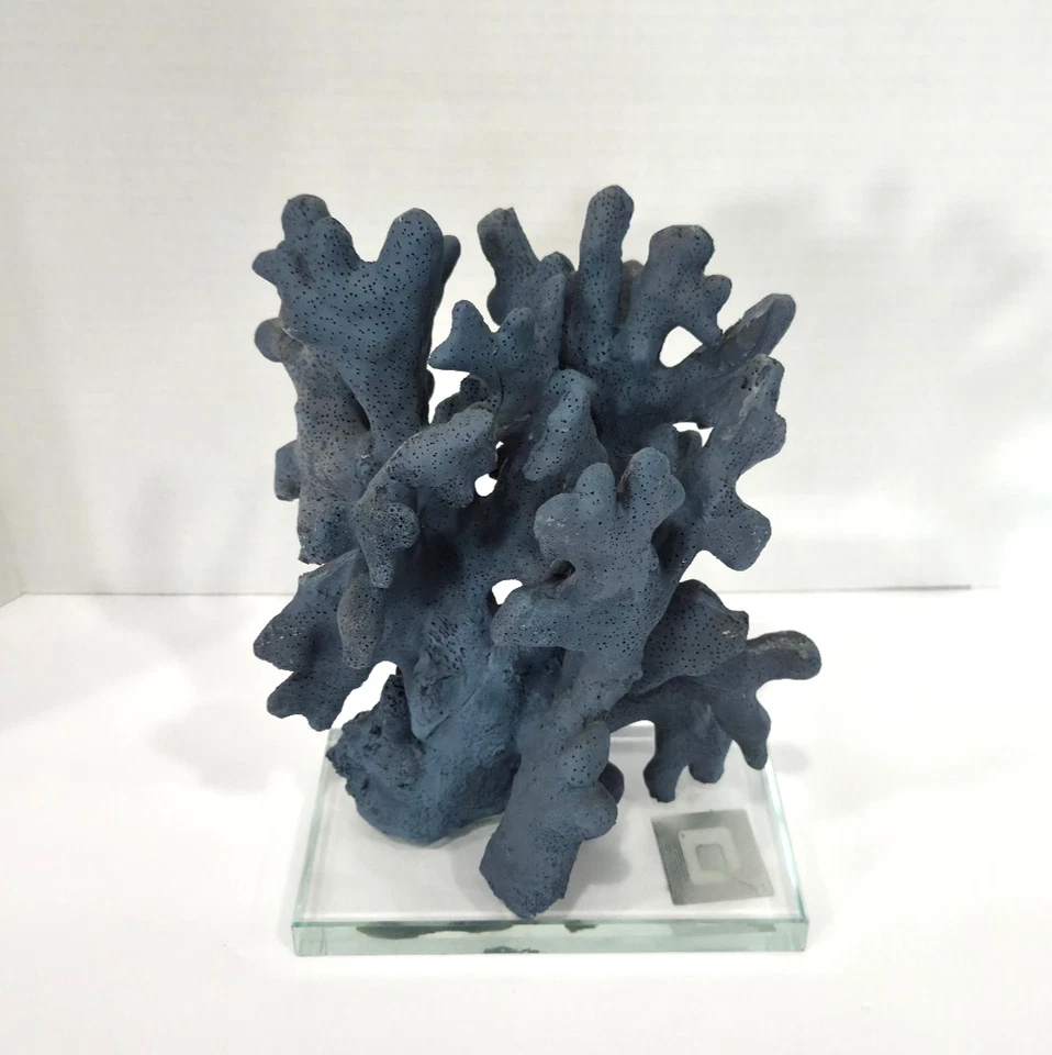 Escultura de coral costero sobre base de acrílico imitación coral marino decoración del hogar acento 9" Foto 1 de 4