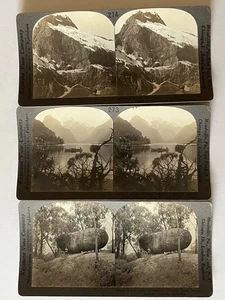 Drei Vintage Keystone Stereoview Karten Anfang 1900, Australien, Neuseeland - Bild 1 von 5