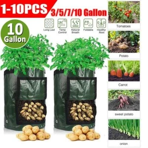 Gallon Plant Growing Thicken PE Bag Potato Vegetable with Handle Outdoor 1-10Pcs - Picture 1 of 30