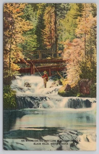 Postcard Man Flyfishing at Spearfish Canyon in the Black Hills, SD. - Picture 1 of 2