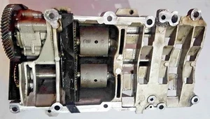 Bomba de aceite de eje de equilibrio BMW E46 11417793754 2,0 L diésel M47 OEM USADA - Imagen 1 de 5