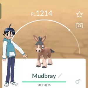 Pokémon GO 🫏 Mudbray 🫏 Registered or Not Registered Trade - Foto 1 di 1