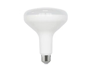 ECOSMART 90-Watt Equivalent BR40 Dimmable LED Light Bulb Warm White (2-Pack) - Picture 1 of 6