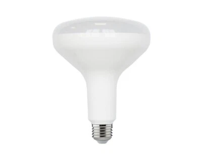 ECOSMART 90-Watt Equivalent BR40 Dimmable LED Light Bulb Warm White (2-Pack) - Image 1 of 4