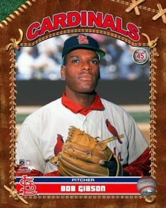 BOB GIBSON ~ 8x10 Color Photo Picture ~ Brown Studio ~ St. Louis Cardinals - Picture 1 of 1