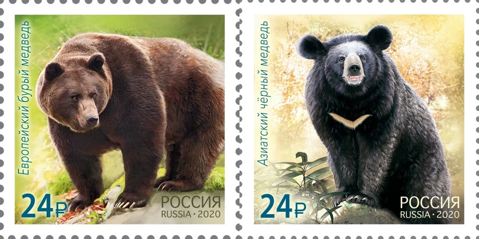 Selo da RÚSSIA 2020 - Urso marrom europeu e urso preto asiático (2 selos) - Imagem 1 de 1