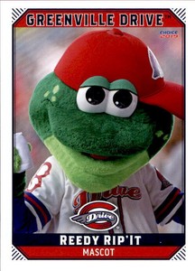2019 Greenville Drive Choice #31 Reedy Rip'It MASCOT - NM Baseball Card
