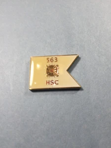 US Army Challenge Coin -101st Airborne Div. 563 HSC (Renegades) - Picture 1 of 6
