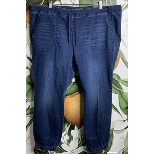 Torrid 3R US 3X Hydrosphere Jogger Jeans Pants Blue NWT - Picture 1 of 7