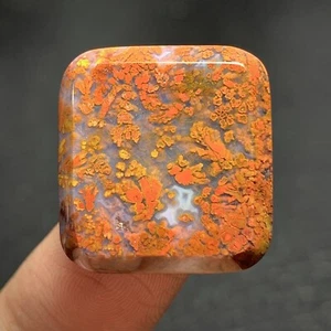 Natürlicher Plume Achat 22x20x5 mm hochwertiger Cabochon 25 ct - Bild 1 von 6