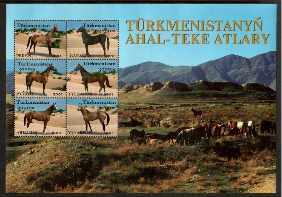 Turkmenistán 2001 - Caballos - Hoja de 6 estampillas - Scott #75 - MNH Foto 1 de 1