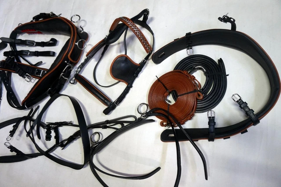 Prem Heavy Duty FULL horse size Driving Training Show Cart Harness Black & Tan - Image 1 of 1