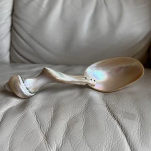 Cucchiaio da portata o vaso caviale conchiglia madreperla - Foto 1 di 7