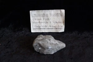 Mineralien Fossilien Selenit (Gips) Pseudomorph n Glauben. Camp Verde, Arizona - Picture 1 of 3