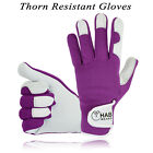Ladies Girl Women Leather Gardening Gloves Thorn Proof  Resist Garden work glove
