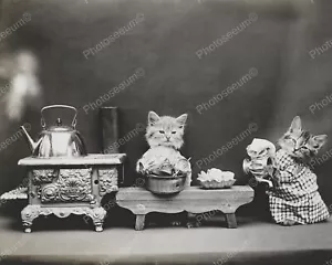 Limpieza de cocina de gatito 8x10 reimpresión de foto antigua - Imagen 1 de 1