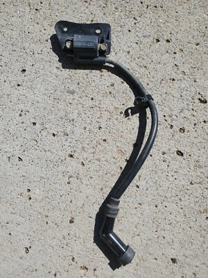 Yamaha Grizzly 700 / Grizzly 550 / Kodiak 700 Ignition Coil Foto 1 de 3