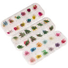 3 Box Epoxy Filled Dried Flowers Natural Nail Stickers for Art