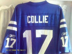 Indianapolis Colts NFL reebok "On Field" Jersey (Austin Collie #17) SZ-Large  - Picture 1 of 10