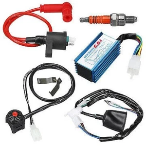 50cc-170cc Wiring Loom Ignition CDI TNT Xingyue Yiying Zhongyu Zongshen Zunlong - Picture 1 of 12