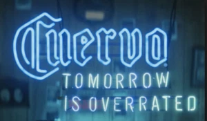 Jose Cuervo Tomorrow Is Overrated Bier 24"x20" Neonlicht Schild Lampe Schlafzimmer Bar - Bild 1 von 13
