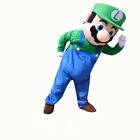 Super Mario Green Mascot Costume Cosplay Party Fancy Dress Brothers Suits Adult