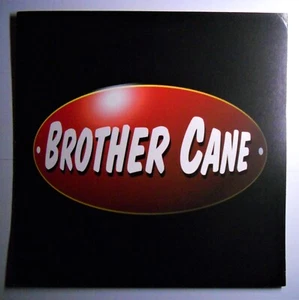 Póster promocional de 2 caras Brother Cane 1994 Virgin Records - Imagen 1 de 2