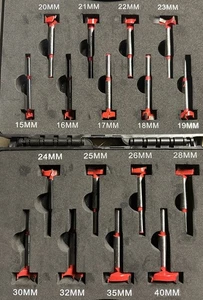 💪17-teiliges Forstner Holzbohrer-Set Stahl Bohren Lochsäge Schneider Holzwerkzeug-Set - Bild 1 von 2