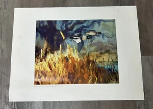 "American Golden Eyes" by John P Cowan Unframed Limited Print - Picture 1 of 7