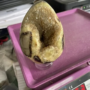 Septarian Dragon Stone Golden Calcite Egg 11.1 cm Tall 763 Grams WT#9 - Picture 1 of 8