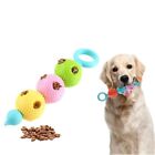 Dog Molar Stick Dog Tooth Cleaning Massager Intractive Bite Resistant Toys