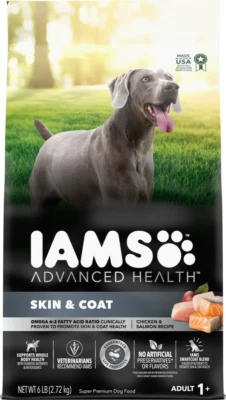 IAMS Healthy Skin & Coat Chicken & Salmon Recipe Adult Dry Dog Food 6 Lb Bag