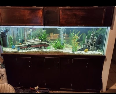 125 галлонов подержанный аквариум - Изображение 1 из 4