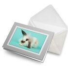 Greetings Card (Grey) - Cute White Bunny Rabbit Teal #44813