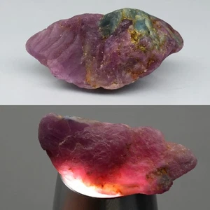 💎 64,07ct 35x17mm grober violetter roter Rubin - unbeheizt, Tansania Edelstein - Bild 1 von 6