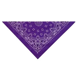 Paisley Bandana Brights Dog Pet Scarf Neck COLLAR Western 6 Colors One Size - Picture 1 of 13