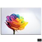 Rainbow Rose  Floral BOX FRAMED CANVAS ART Picture HDR 280gsm