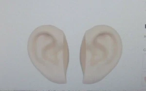 LESEN: Paar [weiße] Blythe Puppenohren und Ton für die 30 cm Blythe Puppe - Bild 1 von 6