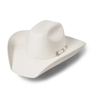 Wollhut Westernhut Cowboy Country Outdoor Stars & Stripes »WYOMING« SILVERBELLY - Picture 1 of 1