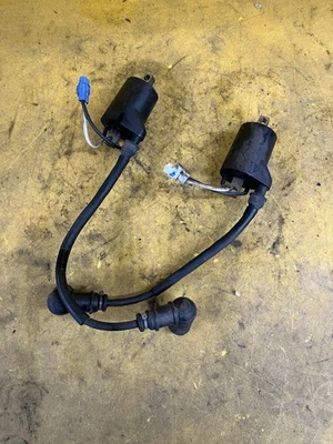 2016 Polaris Axys 800 Ignition Coils                  96 - Image 1 of 2