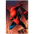 Marvel Comics Stupefacente Spider-Man #641 Edizione Limitata Tela Da Joe Quesada