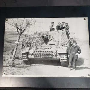 Sturmpanzer IV "Brummbar"Poster German Armour Series #8 Stupa Tank WW2 - Picture 1 of 8