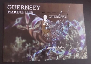Guernsey 2014 Marine Life Anemone Shrimp MS MS1524 MNH UM unmounted mint - Imagen 1 de 1