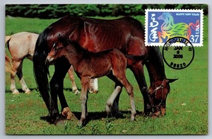 3895g Chinese Lunar New Year Horse FDC Maxi Card - Picture 1 of 2