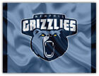 Memphis Grizzlies  NBA Basketball Car Bumper Sticker Decal "SIZES" ID:5