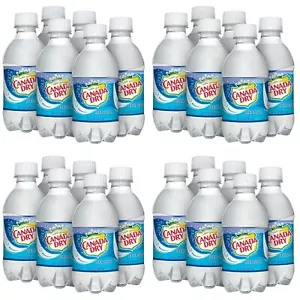 Canada Dry Club Soda, 10 flüssige Unzen, 24 Plastikflaschen - Bild 1 von 1