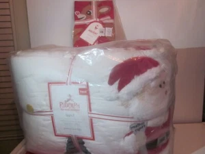 S/2 Pottery Barn Kids Rudolph Santa Twin Quilt and Christmas Apron - NWT - Picture 1 of 8