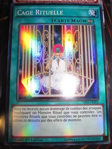 YU-GI-OH! SUPER RARE SR CAGE RITUELLE THSF-FR055 MINT NEUF EDITION1 - Picture 1 of 1